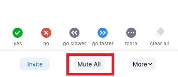 Click "Mute All" to mute everyone on Zoom.