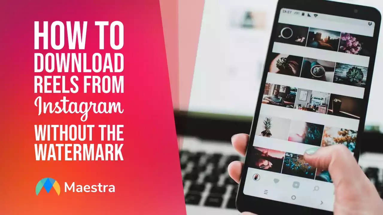 How to Download Reels from Instagram without the Watermark